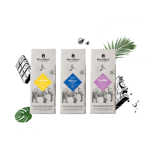 cafe en grain bio gourmand