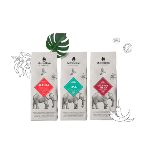 cafe en grain bio intense