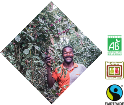 producteurs cafe bio