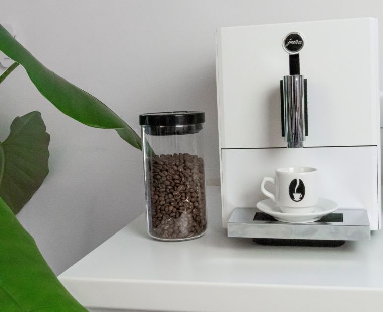 Jura machine à café en grain caché par feuillage jungle